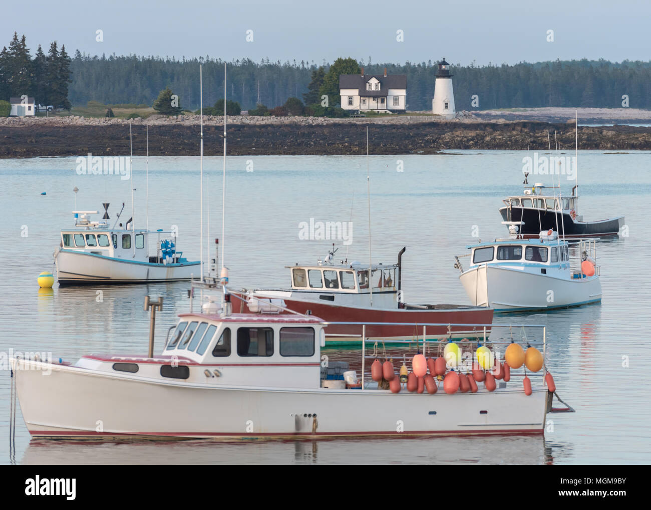 Lobster barche di sicuro il porto Foto Stock