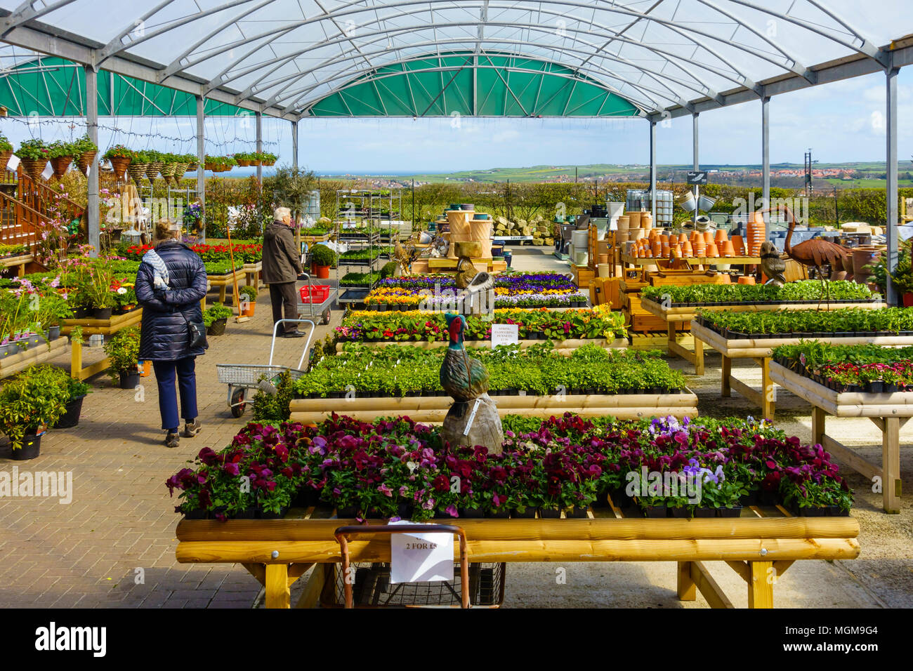 Un giardino display di centro di piante, pentole e accessori giardino in vendita a Whitby North Yorkshire in primavera Foto Stock