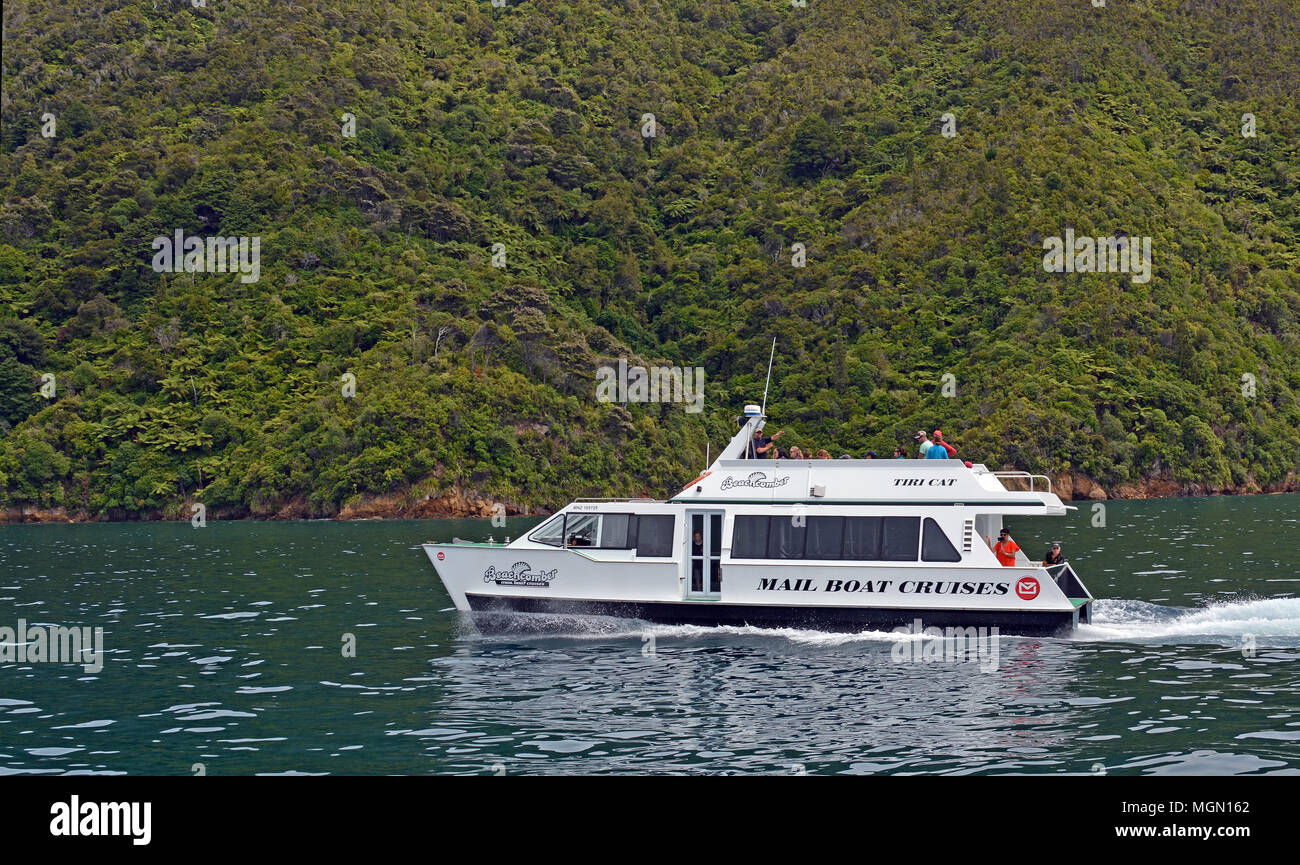 Picton, Nuova Zelanda - 04 Gennaio 2018: Crociera in Marlborough Sounds su una barca posta catermeran. Foto Stock