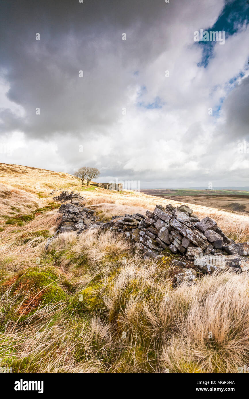 Il casale abbandonato di top withens associato con Wuthering Heights nell'omonimo romanzo di emily bronte Foto Stock