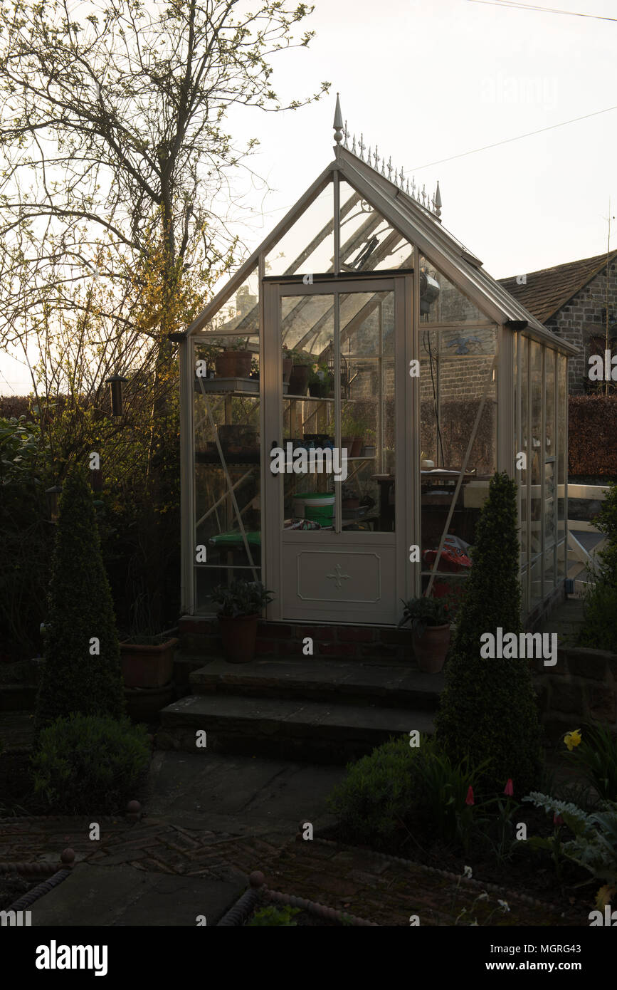 Una piccola serra in un giardino tranquillo al tramonto, nel centro di Doncaster, nel South Yorkshire, in Inghilterra, all'inizio della primavera. Foto Stock