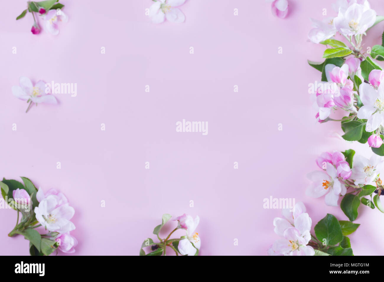 Molla albero di fiori Foto Stock