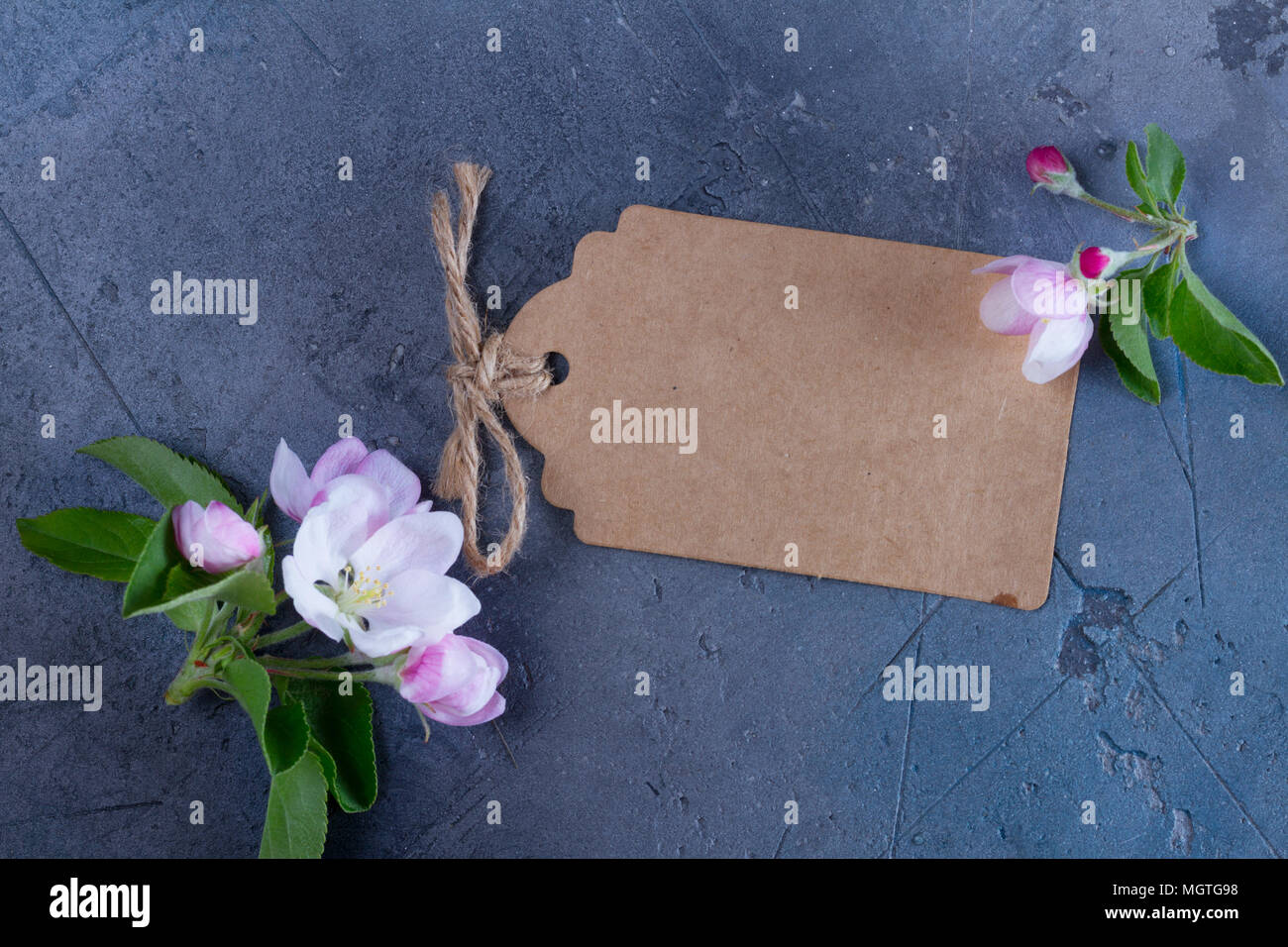 Molla albero di fiori Foto Stock