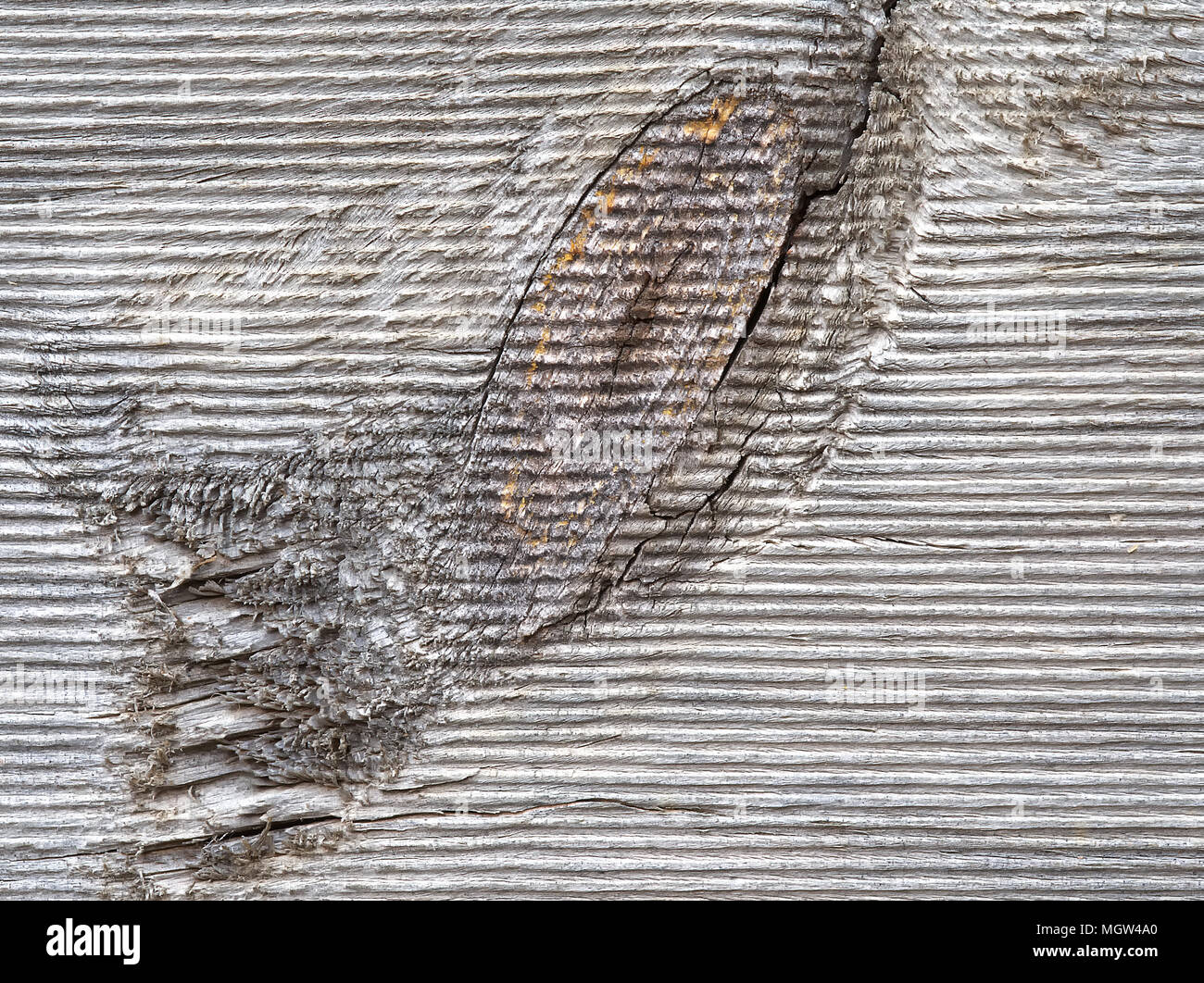 Dettaglio di una scheda di legno con nodo Foto Stock