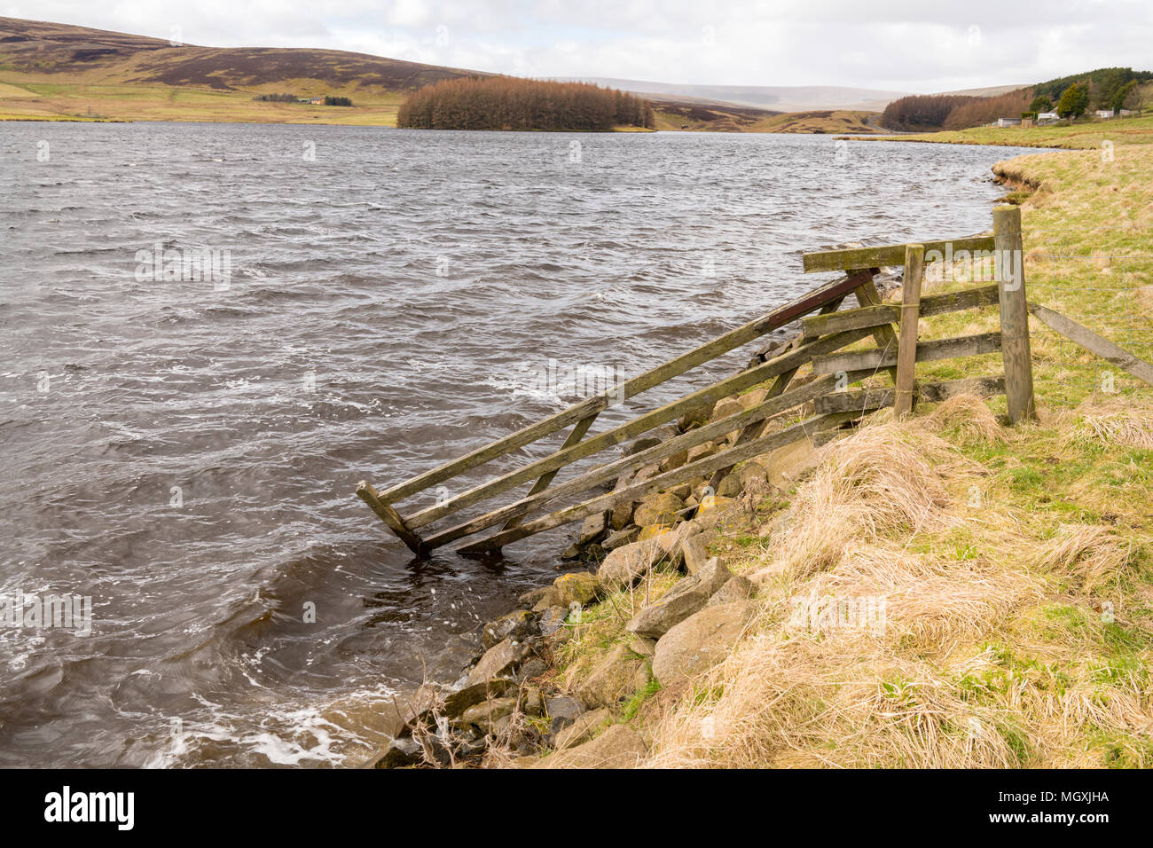 Whiteadder Reservoir, Garvald, East Lothian, Scozia Foto Stock