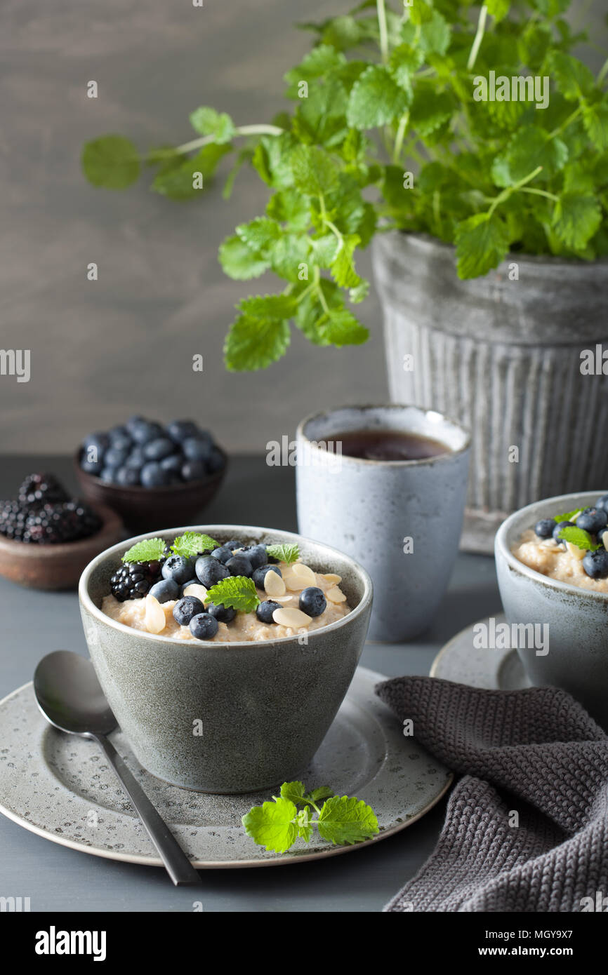 Sana colazione acciaio tagliati i fiocchi d'avena porridge con mirtillo blackberry Foto Stock