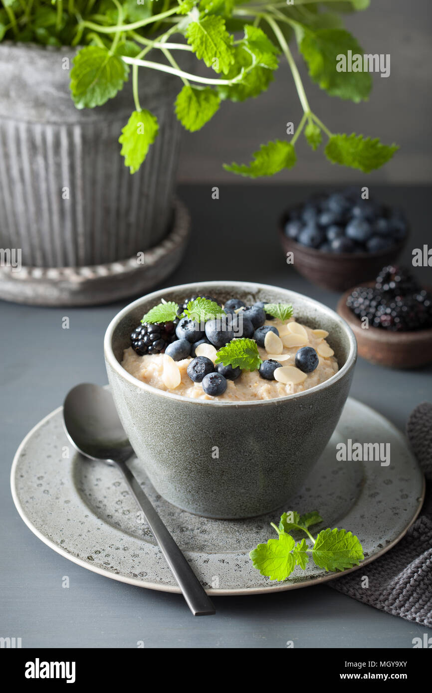 Sana colazione acciaio tagliati i fiocchi d'avena porridge con mirtillo blackberry Foto Stock