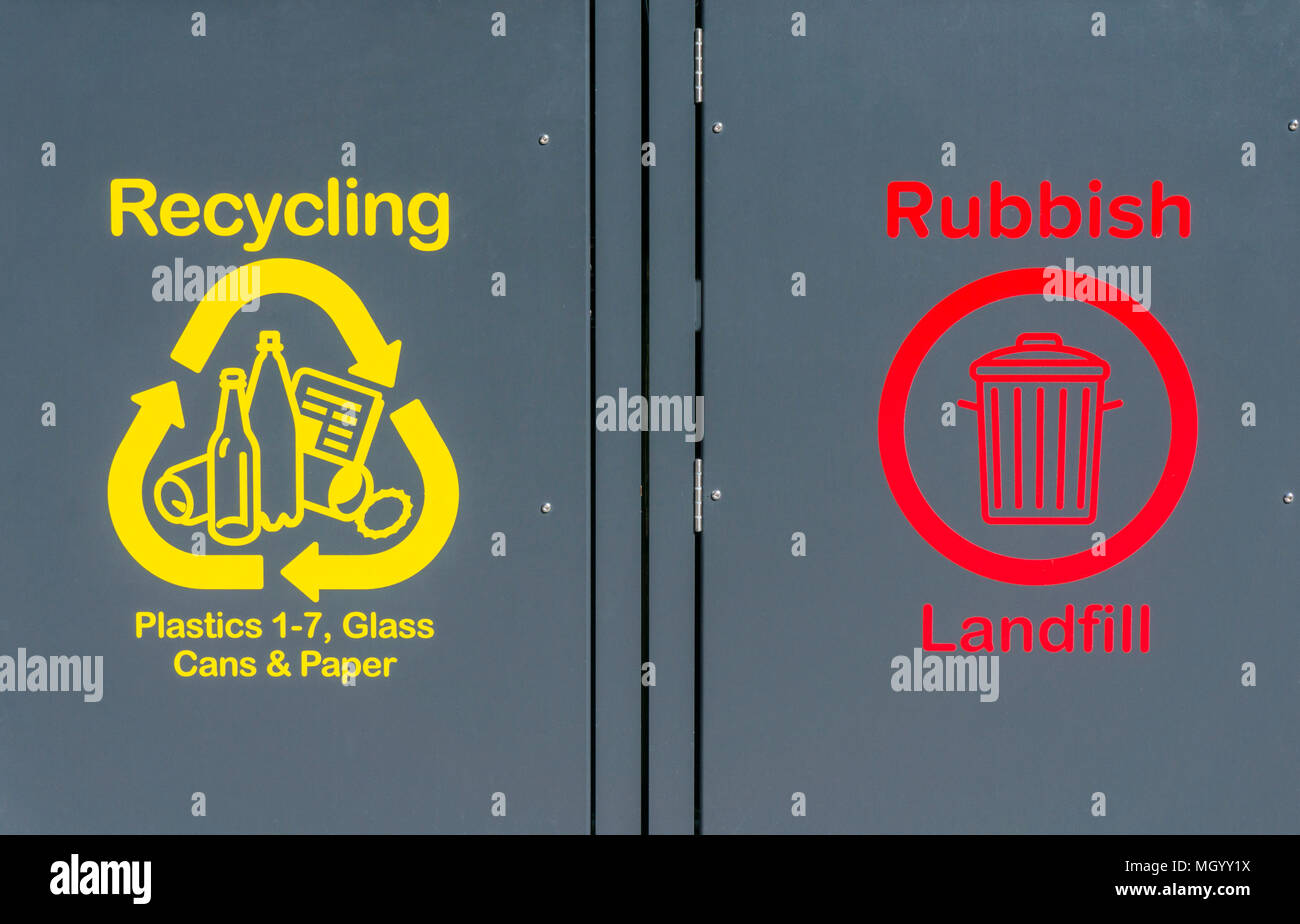 Gli scomparti di riciclaggio per la plastica riciclaggio vetro plastica riciclare vetro lattine lattine riciclaggio riciclaggio della carta carta discarica di rifiuti il contenitore di riciclaggio nel cestino Foto Stock