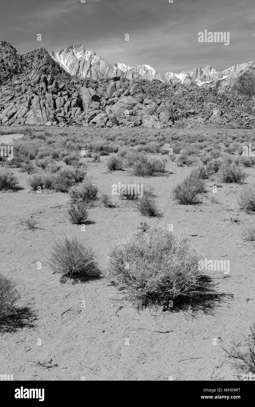 Il Monte Whitney e Alabama Hills, in California, 14er, stato alto e il punto di picco massimo nella parte inferiore 48 membri, che si trova nelle montagne della Sierra Nevada, Foto Stock