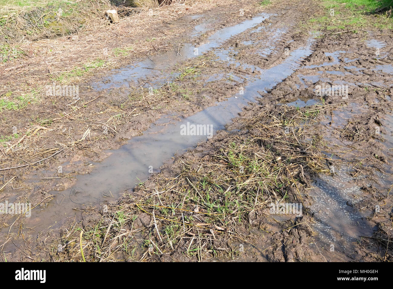 Pozzanghere in un campo Dopo forti piogge Foto Stock
