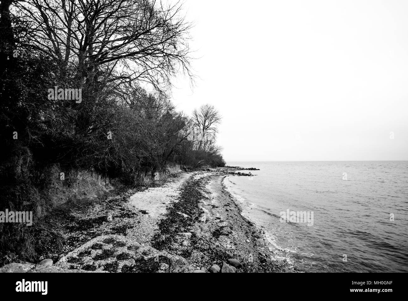 Foto in bianco e nero di una costa in autunno con le onde in arrivo sulla spiaggia Foto Stock
