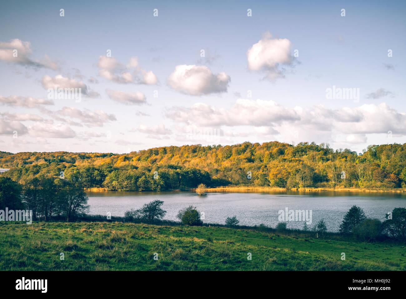 Fiume in un paesaggio rurale con alberi d'oro sul lungofiume in estate indiana Foto Stock