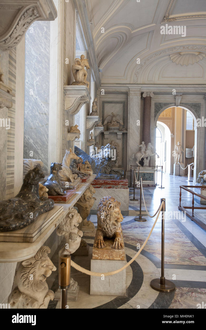 Il display in due camere che compongono insieme la sala degli animali è stato istituito sotto il Papa Pio VI ( 1775-1799) con opere d'arte antica, Foto Stock