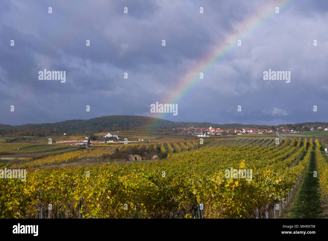 Cielo tempestoso e un arcobaleno su Mittelberg village e Kellergasse, una destinazione popolare per gli amanti del vino nella Bassa Austria Foto Stock