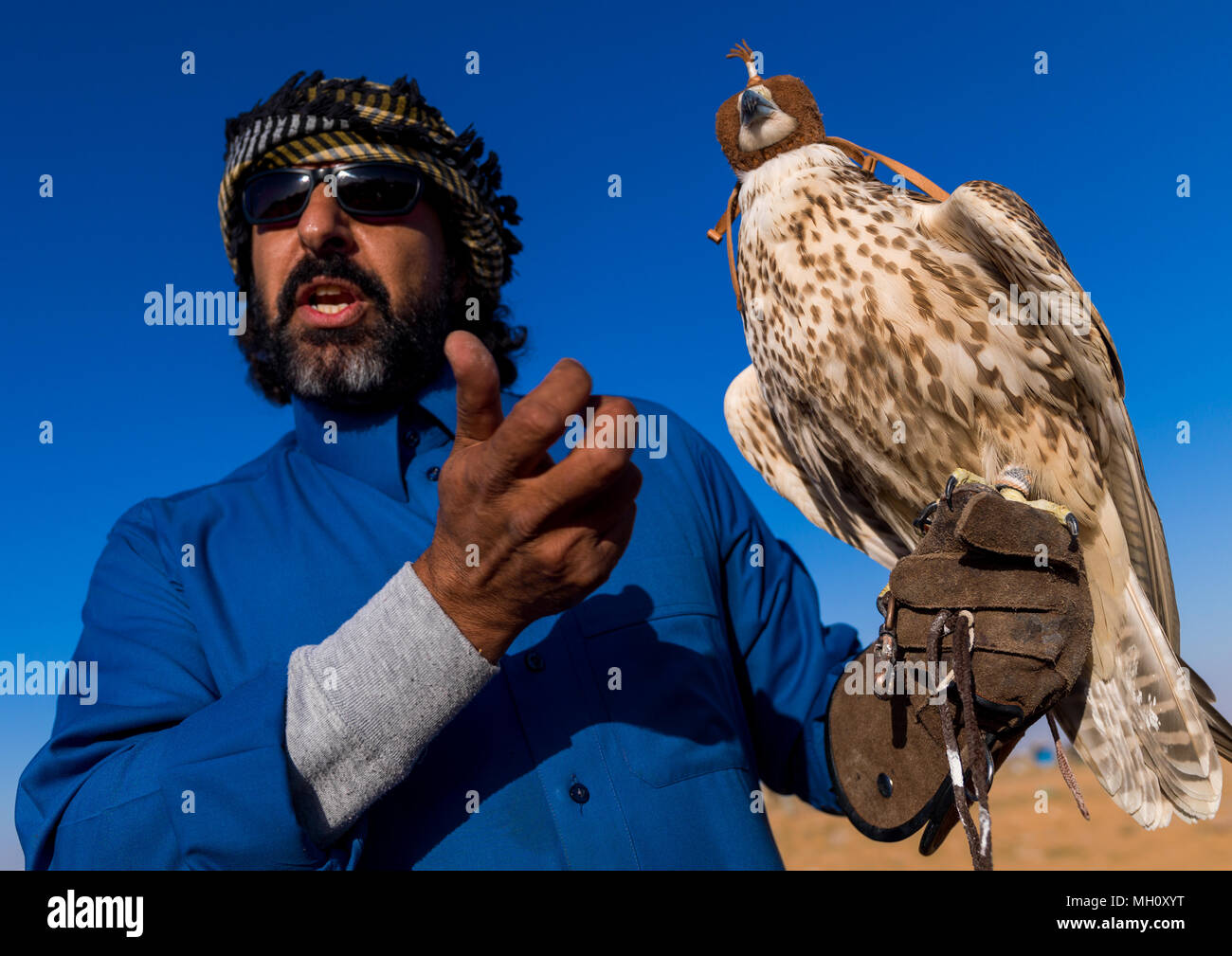 Arabia uomo con falcon appollaiate su mano, Al-Jawf Provincia, Sakaka, Arabia Saudita Foto Stock