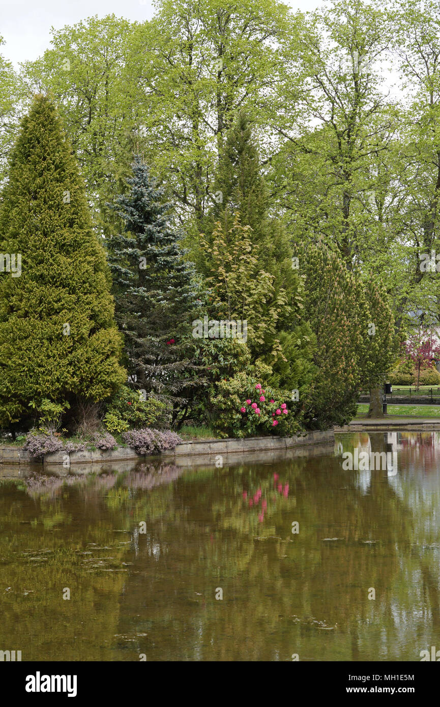 Strathaven Park, Giovanni Hastie Park, South Lanarkshire in una giornata di sole Foto Stock