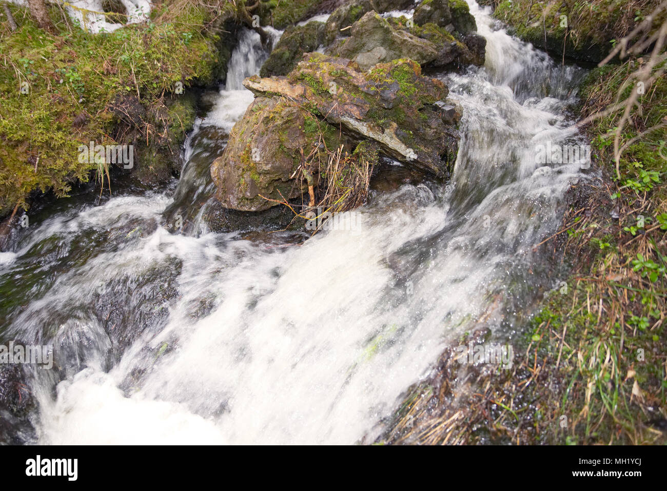 La fusione della neve durante la primavera in Norvegia la creazione di un piccolo ruscello brook. Foto Stock