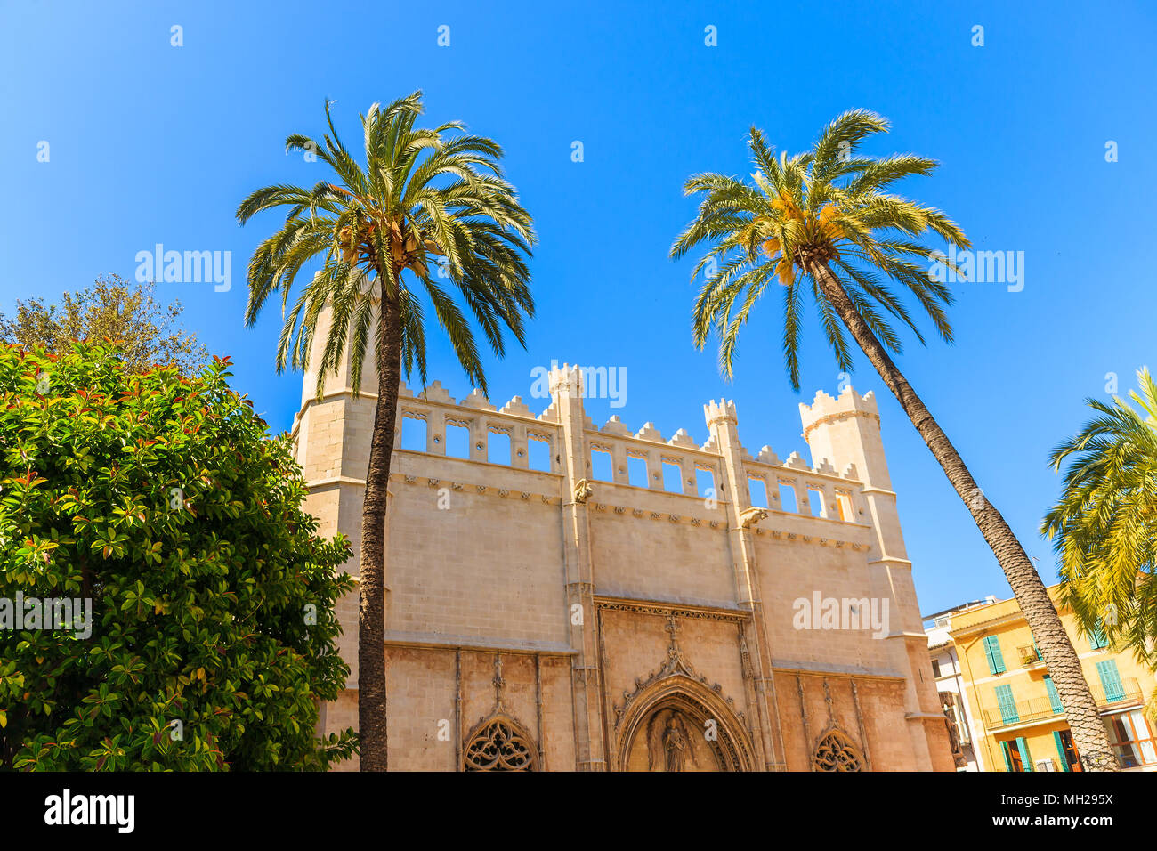 Gate e Palm tree di un edificio storico nel centro storico di Palma di Maiorca, SPAGNA Foto Stock