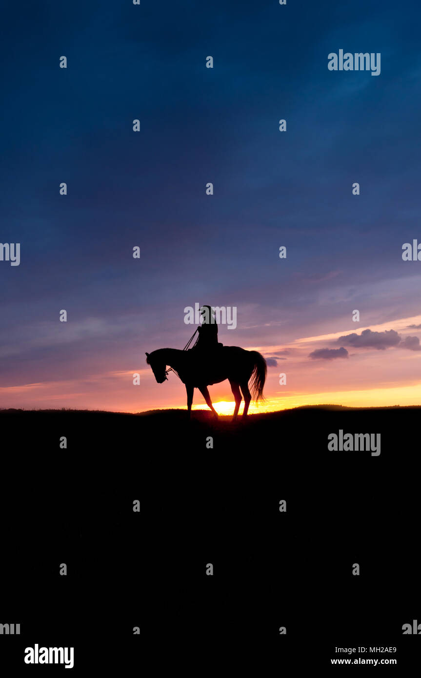 Equitazione in luce della sera, da soli nella campagna Foto Stock