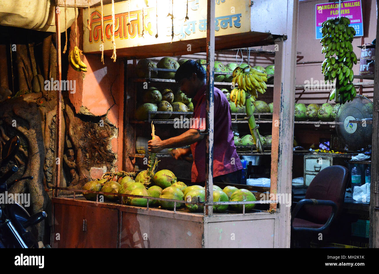 Un uomo vendita di noci di cocco sul suo mercato in stallo Margao, vicino Benaulim, Goa, India Foto Stock