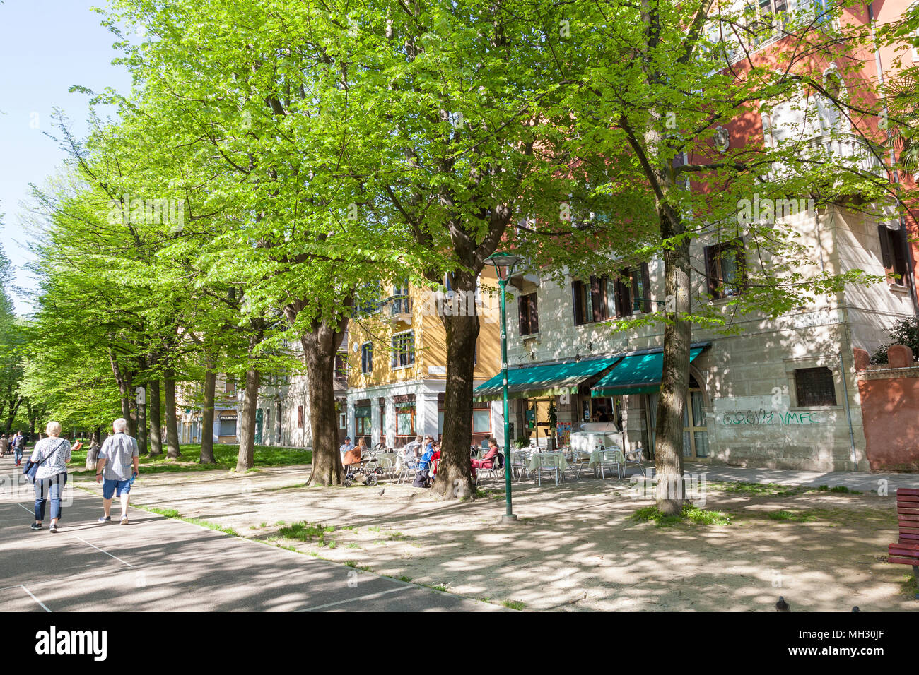 Primavera a Venezia. Fresco verde di alberi nel Parco della Rimembranze lungo Viale 1V Novembre, Sant'Elena, Venezia, Veneto, Italia, aria aperta retsaurant Foto Stock