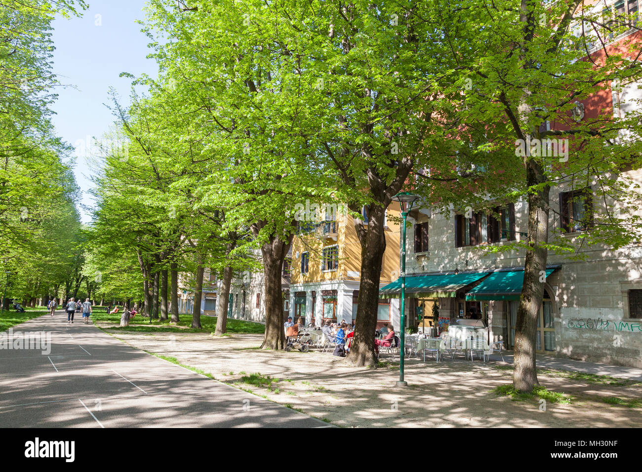 Primavera a Venezia. Fresco verde di alberi nel Parco della Rimembranze lungo Viale 1V Novembre, Sant'Elena, Venezia, Veneto, Italia, aria aperta retsaurant Foto Stock
