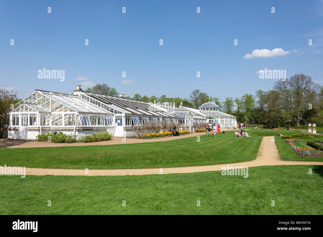 Il conservatorio â€oein Chiswick House Gardens, Burlington Lane, Chiswick, London Borough di Hounslow, Greater London, England, Regno Unito Foto Stock