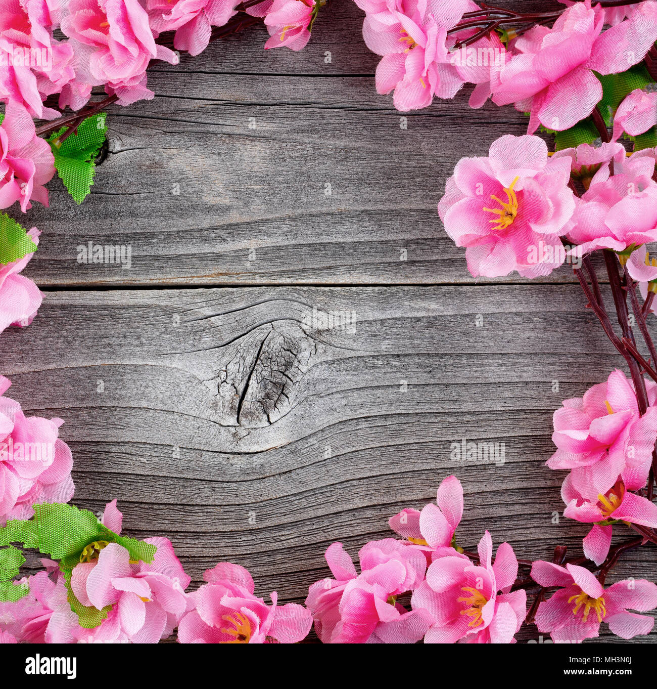Vista aerea di seta di fiori di ciliegio diramazioni formando bordo del cerchio su vintage in legno per il tempo primaverile Foto Stock