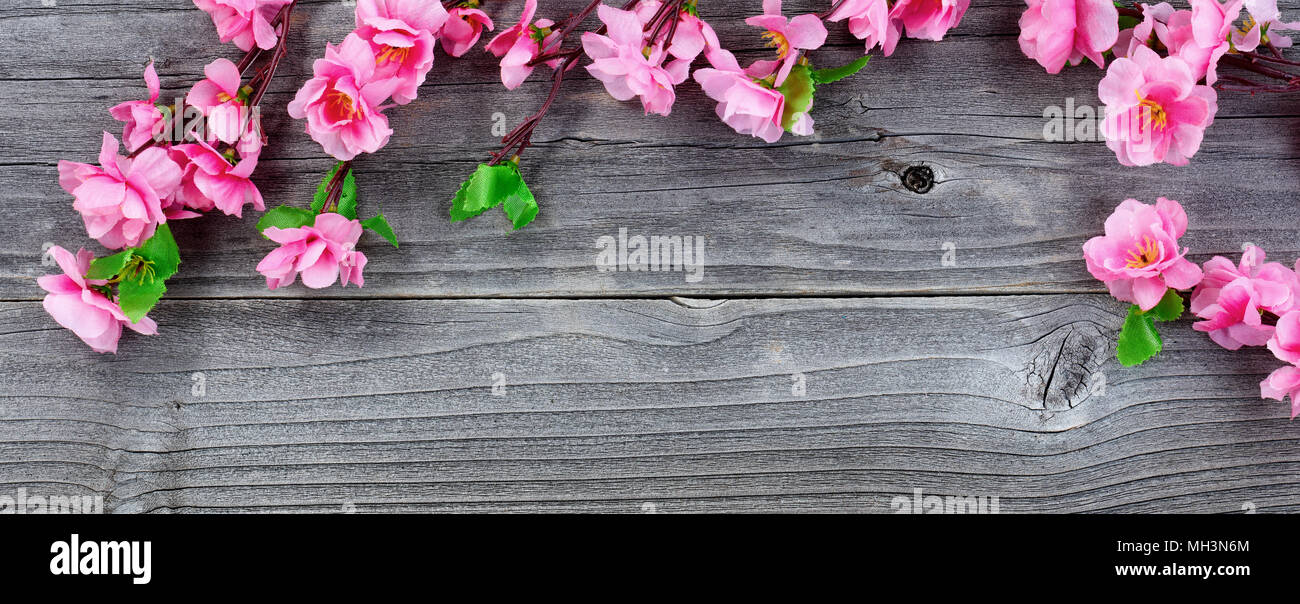 Vista aerea di seta di fiori di ciliegio diramazioni formando bordo superiore su vintage in legno per il tempo primaverile Foto Stock