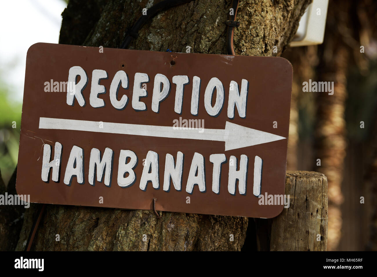 Di Eshowe, KwaZulu-Natal, Sud Africa, multi lingua segno di ricezione, visitatori diretti, Shakaland, tema culturale villaggio, Sud Africa, Zulu, inglese Foto Stock