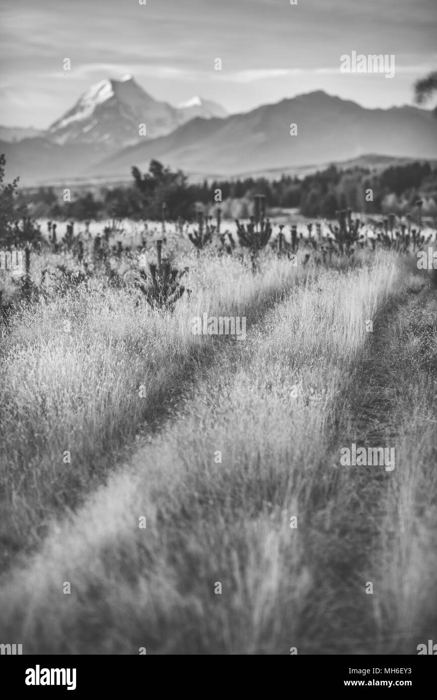 Naturale arte Foto Stock