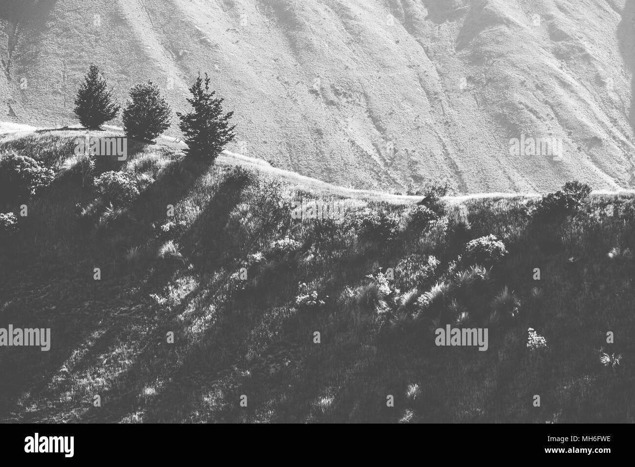 Naturale arte Foto Stock