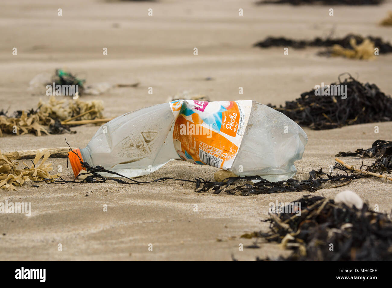 Una plastica francese bere bottiglia lavato fino a Harlech beach in West Wales UK un esempio dei molti pezzi di plastica nel mare intorno alla Gran Bretagna Foto Stock