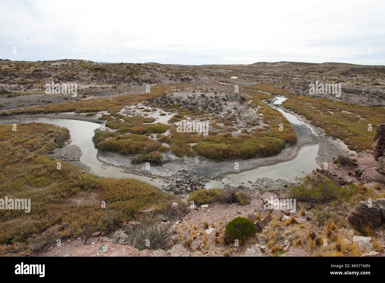 Meandro. Il precursore di un bue-bow lake. Foto Stock