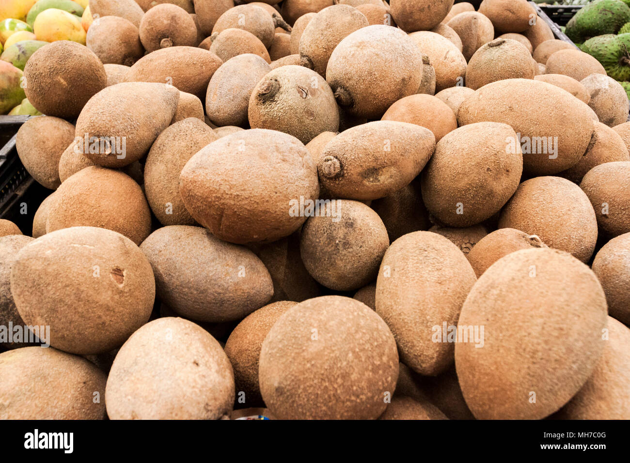 Frutta e verdura di stagione. Guadalajara, Jalisco Messico Foto Stock