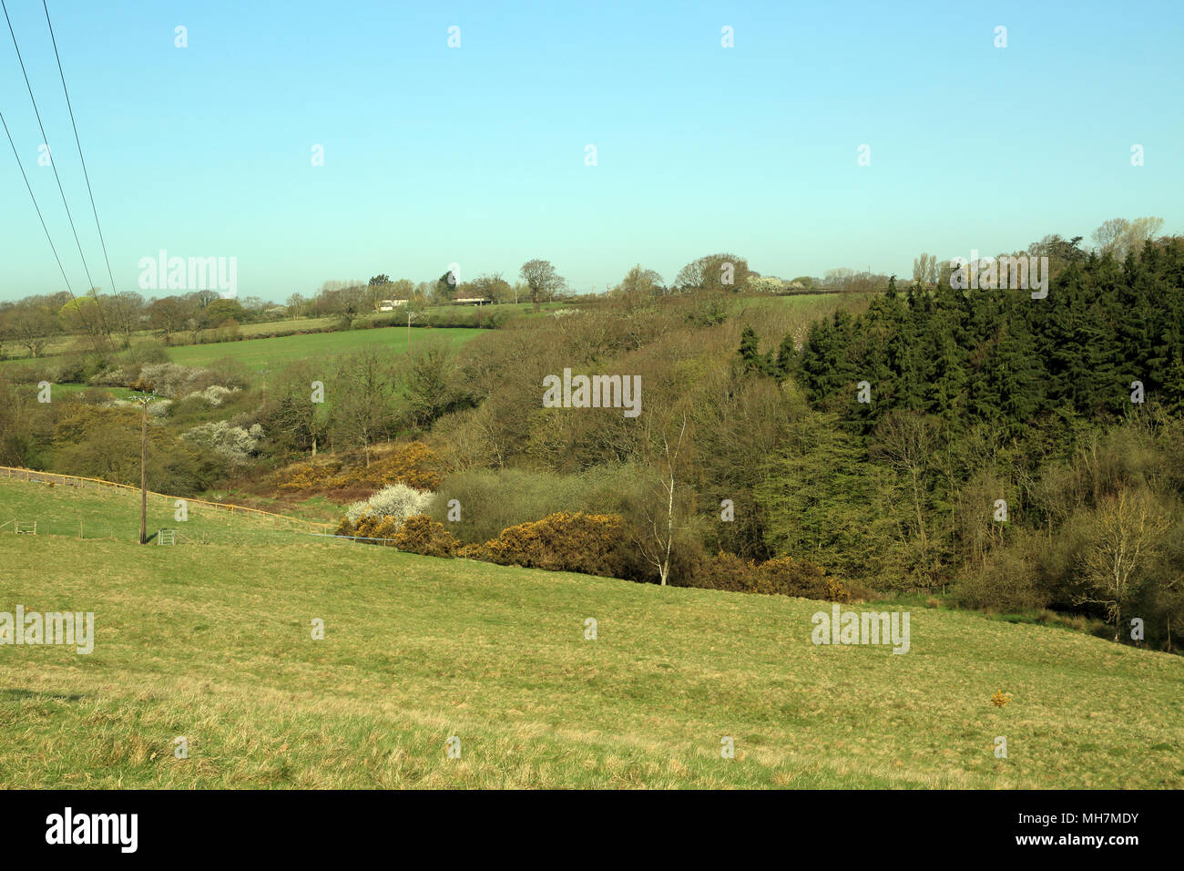 Vista su campi da Dicksons Bourne Road, Aldington, Kent, Regno Unito Foto Stock