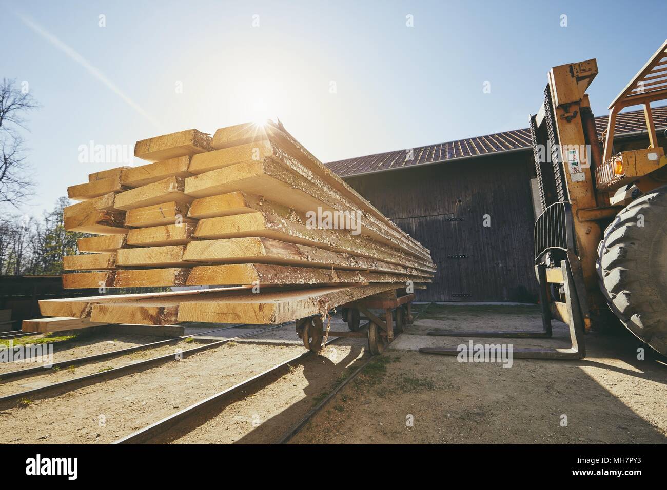 Industria del legname. Pala caricatrice gommata tavole di carico alla segheria al sunrise. Foto Stock