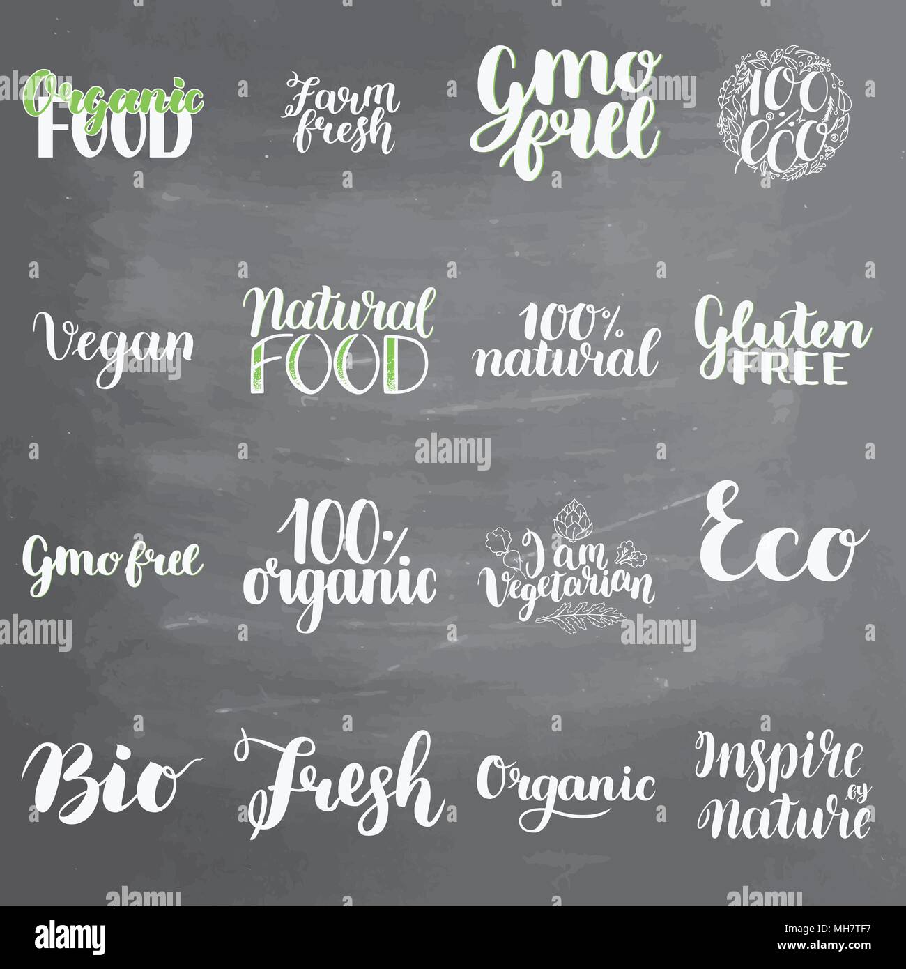 Concetto di eco caratteri impostata sulla lavagna sfondo. Lettering  Blackboard la scrittura di testo scritto a mano, illustrazione vettoriale.  Logo per mangiare sano bar, ristorante, negozi e stampa e prodotti digitali  Immagine