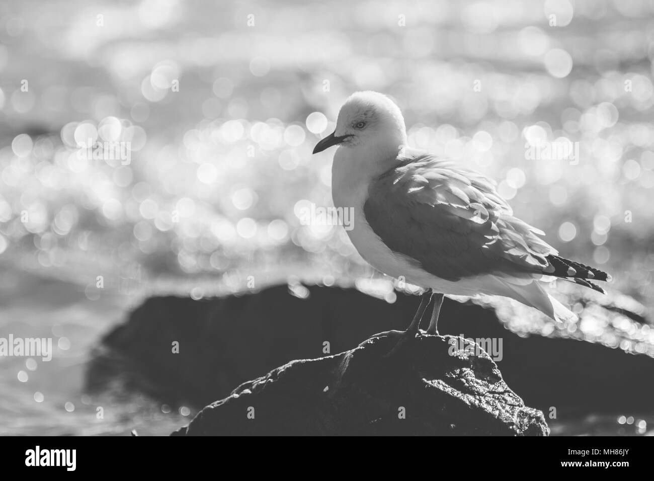 Sole, mare e sabbia Foto Stock