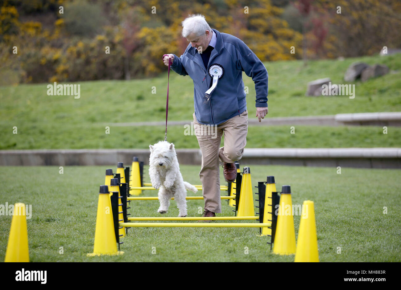 Candidato Maurice Corry MSP e il suo cane Bobby affrontare il percorso ad ostacoli che prendono parte all'Holyrood cane dell'anno 2018 presso il parlamento scozzese di Edimburgo. Foto Stock
