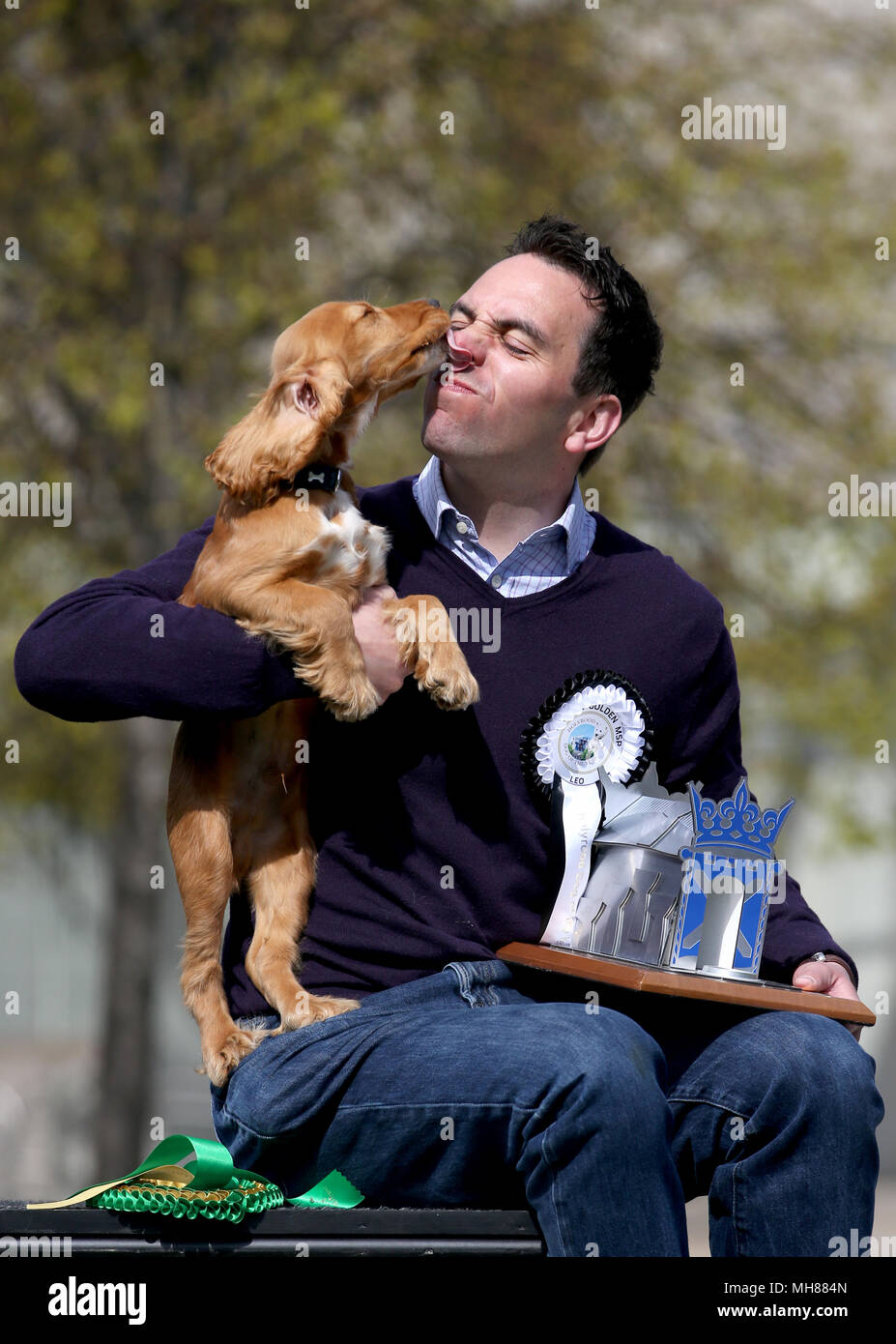 Maurice Golden MSP con il suo cane Leo dopo aver vinto il Holyrood cane dell'anno 2018 presso il parlamento scozzese di Edimburgo. Foto Stock