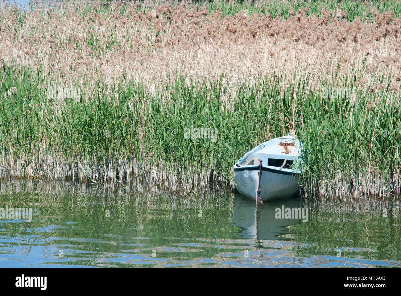 Barca abbandonata in canne Foto Stock