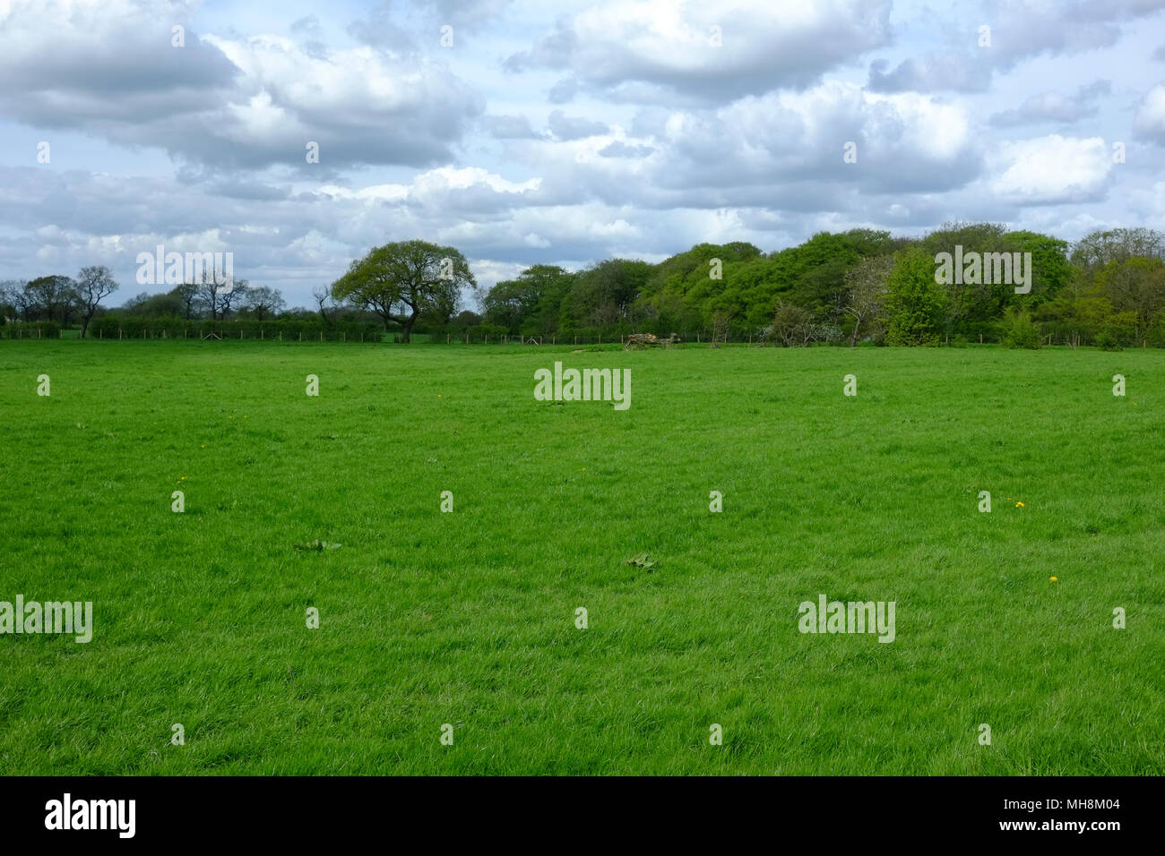Lancashire Farmland, Inghilterra Foto Stock