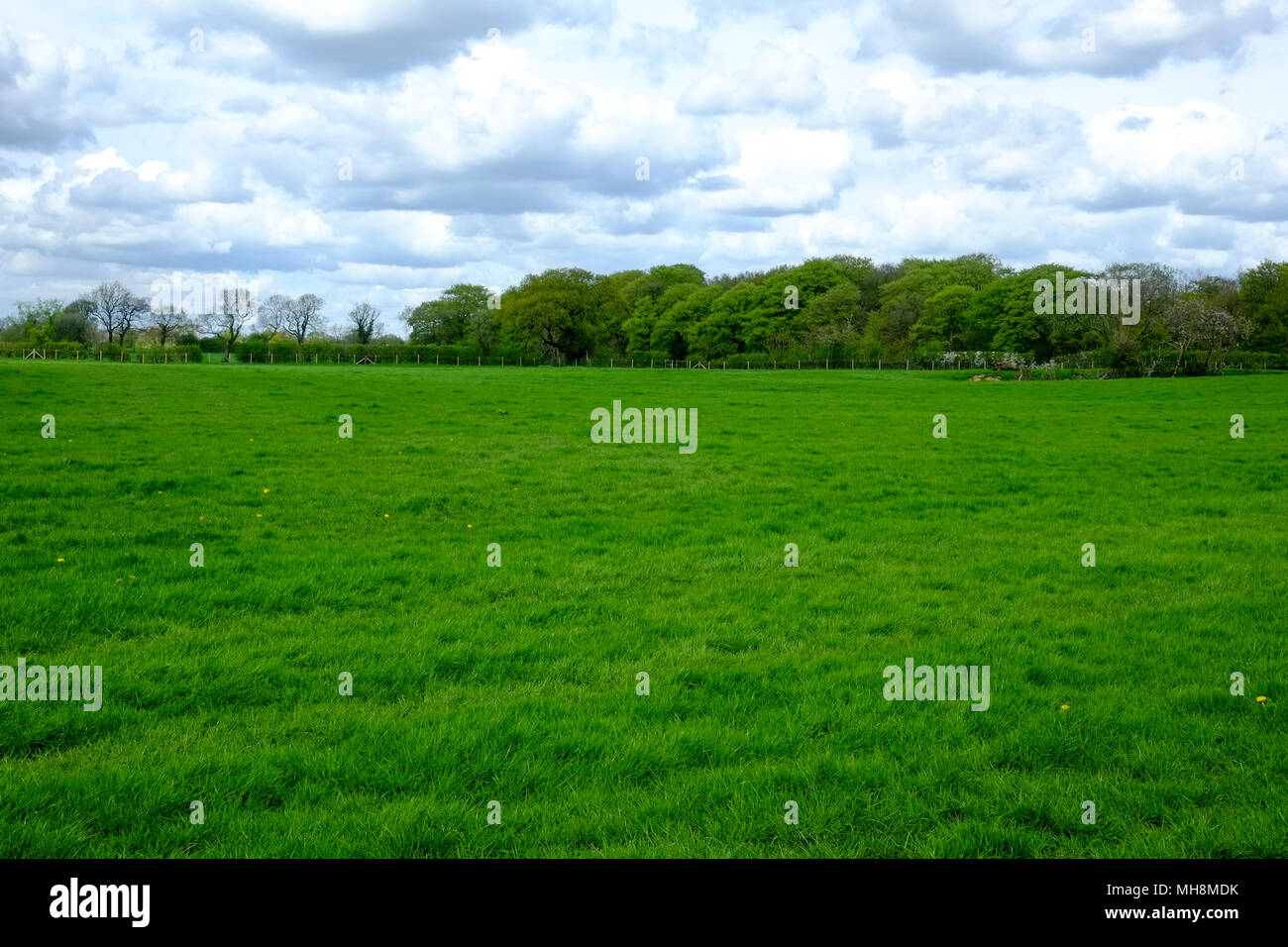 Lancashire Farmland, Inghilterra Foto Stock