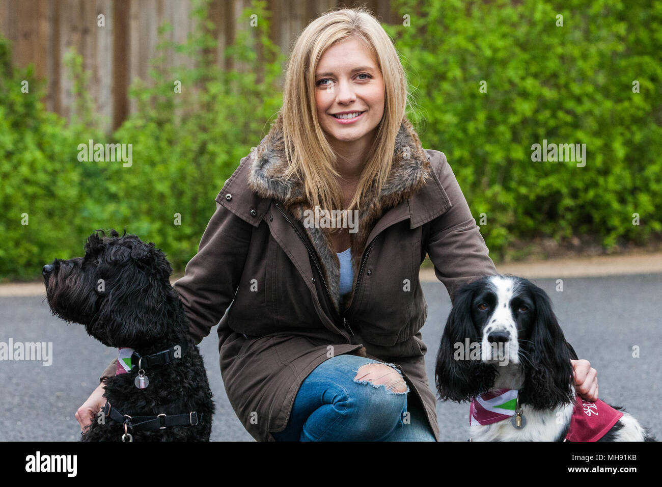 Windsor Great Park, Regno Unito. 28 Aprile, 2018. Il presentatore TV Rachel Riley si prepara a condurre il grande British cane a camminare in aiuto dei cani guida per non udenti per i Sordi Foto Stock