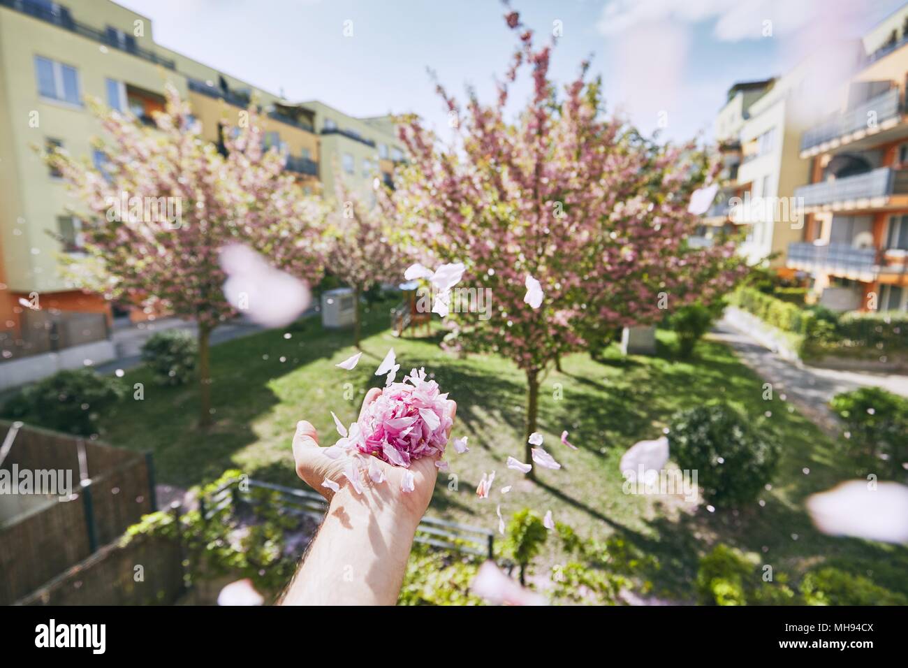 Ala petali di soffiatura da mano umana contro il giardino e il palazzo residenziale. Foto Stock