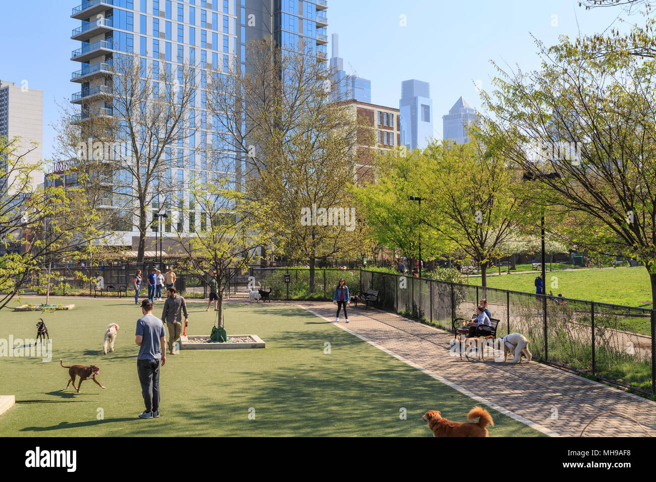 Schuylkill River Park Dog Park in Piazza Fitlers quartiere, lo Skyline di Philadelphia in background, Philadelphia, Pennsylvania, STATI UNITI D'AMERICA Foto Stock