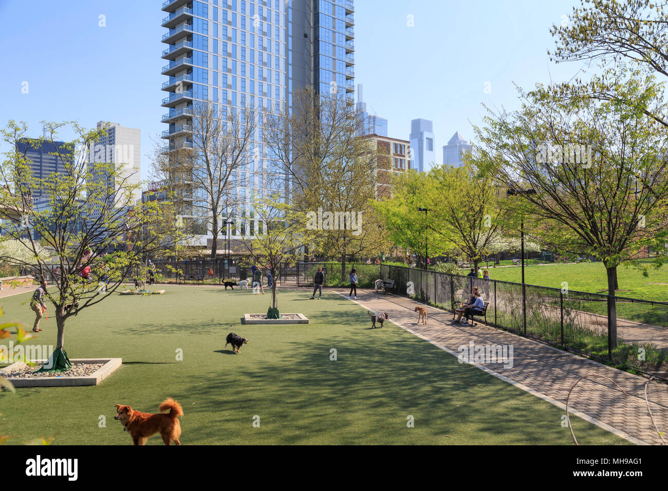 Schuylkill River Park Dog Park in Piazza Fitlers quartiere, lo Skyline di Philadelphia in background, Philadelphia, Pennsylvania, STATI UNITI D'AMERICA Foto Stock