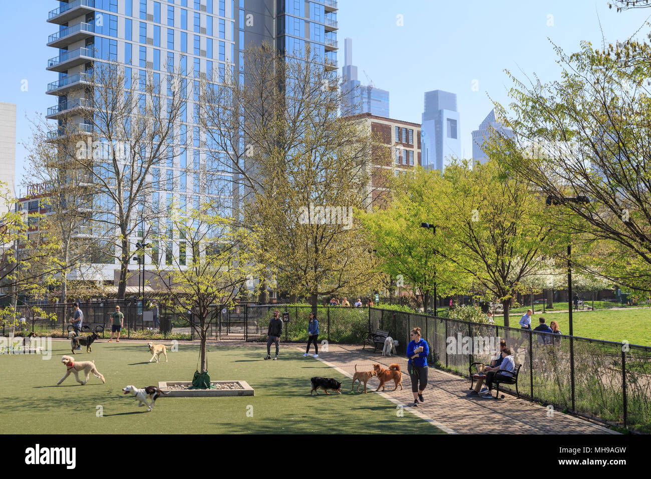 Schuylkill River Park Dog Park in Piazza Fitlers quartiere, lo Skyline di Philadelphia in background, Philadelphia, Pennsylvania, STATI UNITI D'AMERICA Foto Stock