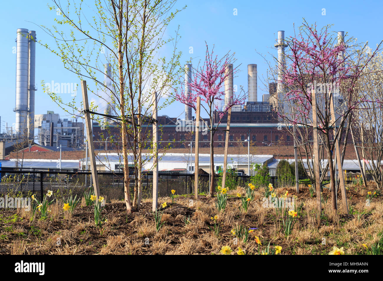 Banche Schuylkill Ricreazione percorso nel rivitalizzato area industriale con Veolia energia termica impianto, Philadelphia, Pennsylvania, STATI UNITI D'AMERICA Foto Stock